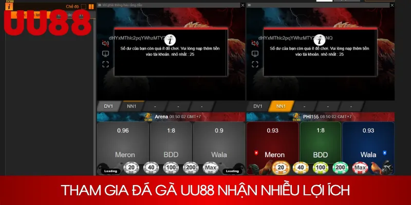 Tham gia đá gà UU88 người chơi nhận được nhiều lợi ích