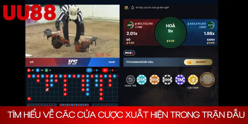 Tìm hiểu về các cửa cược xuất hiện trong trận đấu đá gà